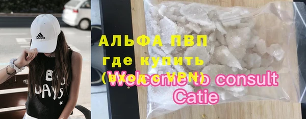 индика Белокуриха