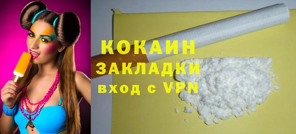 индика Белокуриха