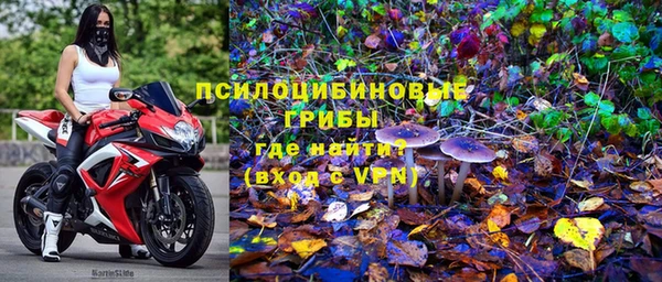 молекула духа Беломорск
