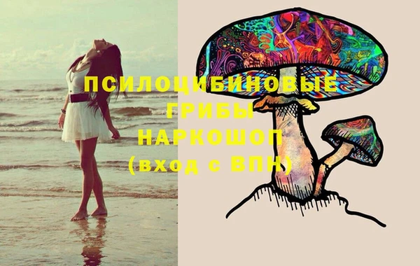 индика Белокуриха