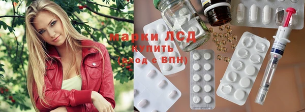 индика Белокуриха