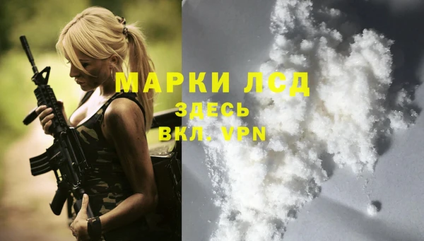 индика Белокуриха