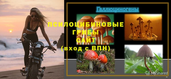 молекула духа Беломорск