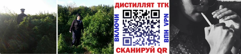 ТГК жижа Лыткарино